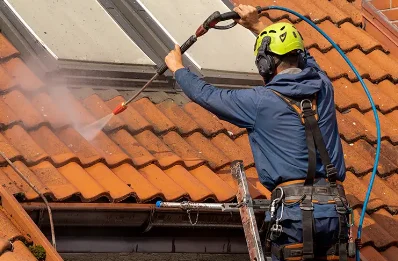Démoussage et hydrofuge de toiture à Lestiou